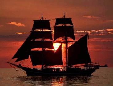 Hanse Sail Rostock: Tages- und Abendfahrten